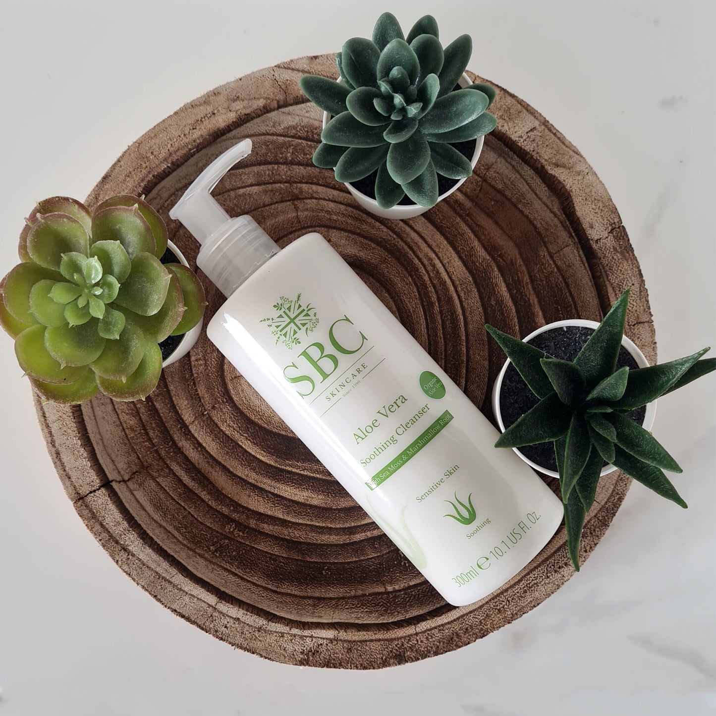 Aloe Vera Soothing Cream Cleanser 300ml on a log slice with succulent plants