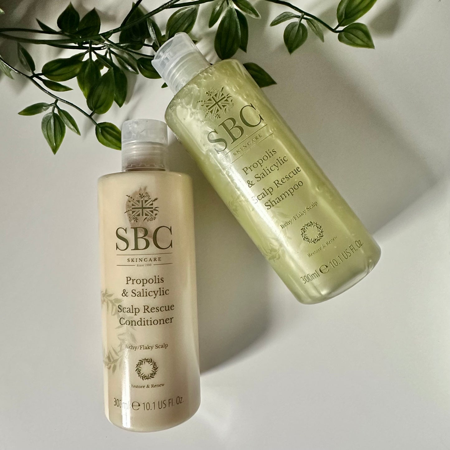 Propolis & Salicylic Scalp Rescue Shampoo