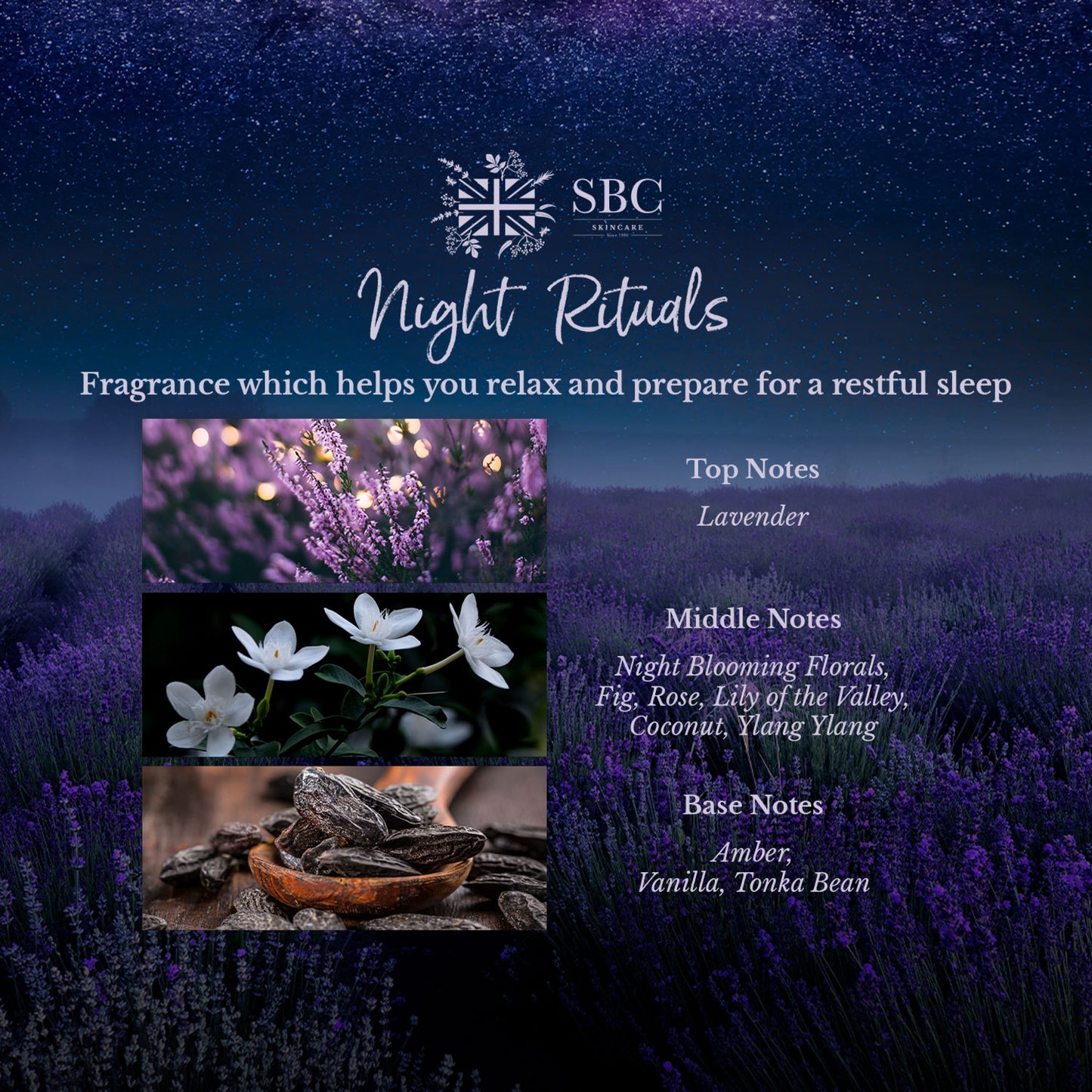 Night Rituals Sleep Serum