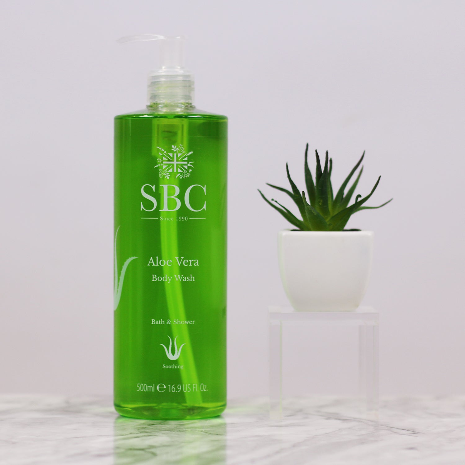 Aloe Vera Body Wash with an Aloe Vera plant